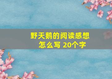 野天鹅的阅读感想怎么写 20个字